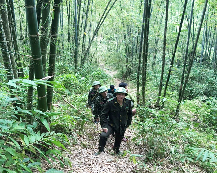 Hỗ trợ gạo cho công tác bảo vệ, phát triển rừng trên địa bàn huyện Mường Lát