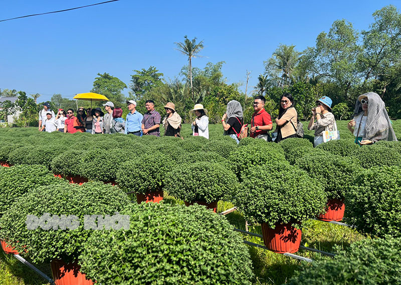 Du khách tham quan hoa kiểng ở huyện Chợ Lách.