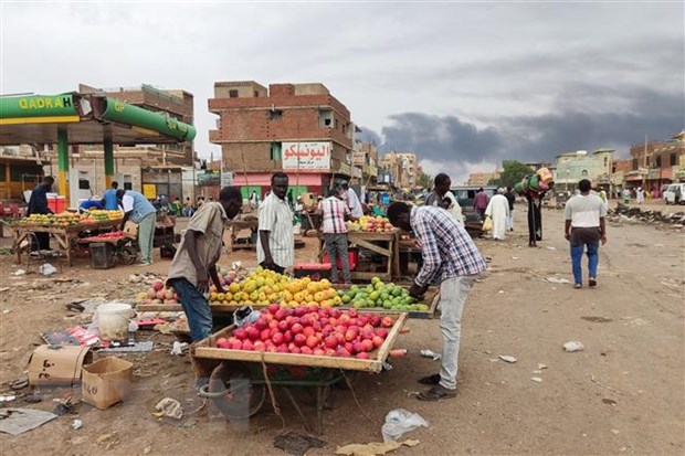 Sudan: Khong kich tiep dien sau khi lenh ngung ban het hieu luc hinh anh 1