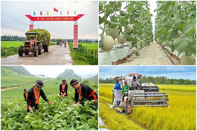 Quy định mới về cơ chế quản lý, tổ chức thực hiện các chương trình mục tiêu quốc gia - Ảnh 1.