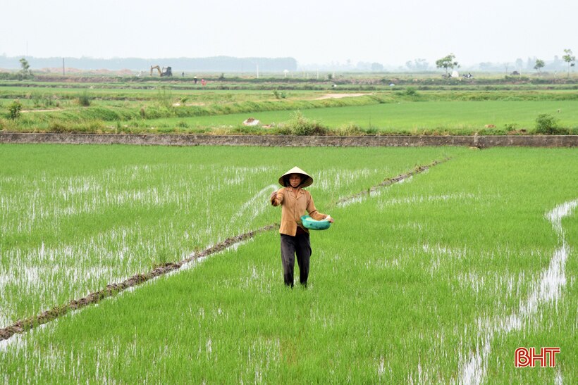 Tạo đột phá cho đồng ruộng Lộc Hà