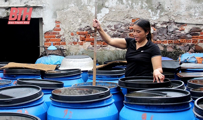 Thị xã Nghi Sơn hướng đến phát triển chế biến thủy sản bền vững