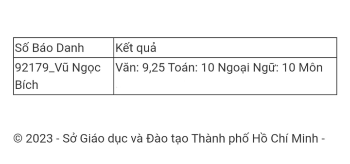 Thủ khoa lớp 10 TP.HCM từng rớt ngay vòng loại thi học sinh giỏi - 1