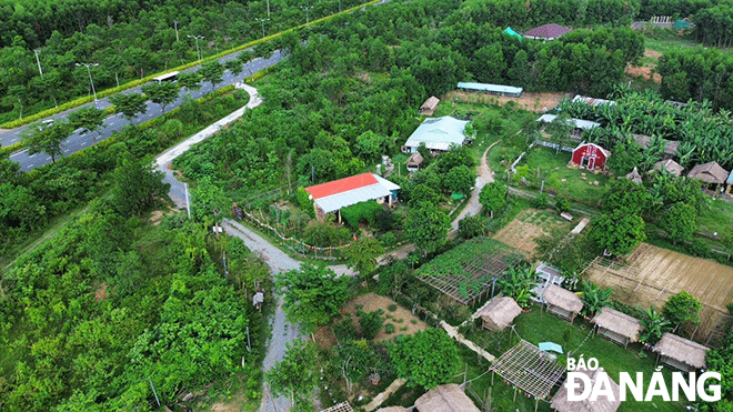 Nông trại An Phú Farm nhìn từ trên cao. Ảnh: H.L