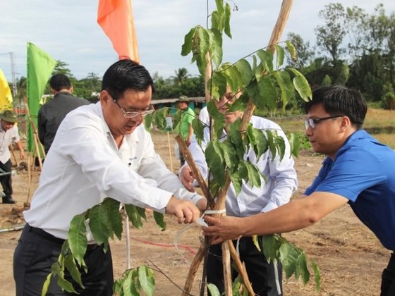 Trồng cây xanh, thu gom rác thải bao bì vì “Môi trường sạch – Cuộc sống xanh”  ảnh 1