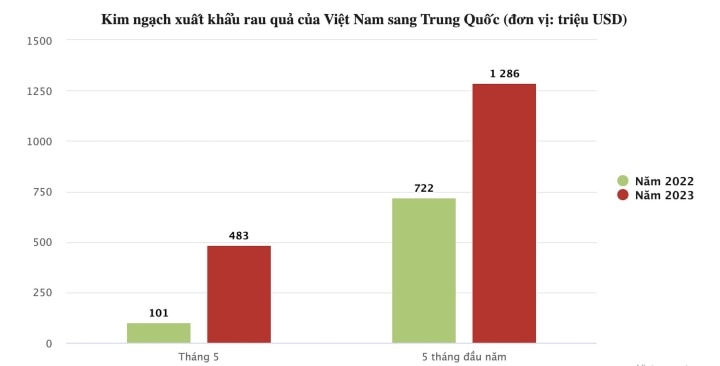 Trung Quốc chi tiền gấp 5 để mua rau quả, xe chở sầu riêng ùn ùn lên cửa khẩu - 1