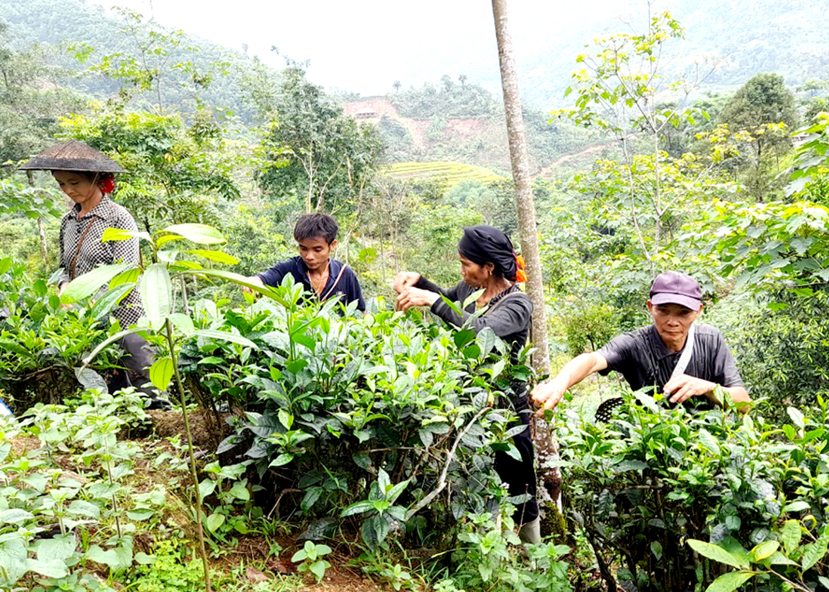 Ông Hoàng Xuân Thương (ngoài cùng bên phải) tiêu biểu trong sản xuất, kinh doanh giỏi của xã Nà Chì.
