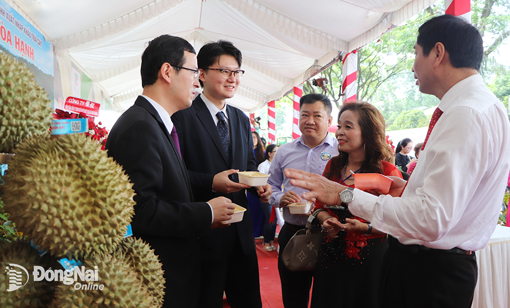 Phó chủ tịch UBND tỉnh Võ Văn Phi (bìa phải) cùng Phó tổng  lãnh sự Trung Quốc tại TP.HCM Từ Châu (bìa trái) tham quan  khu trưng bày sầu riêng tại lễ xuất khẩu sầu riêng năm 2023