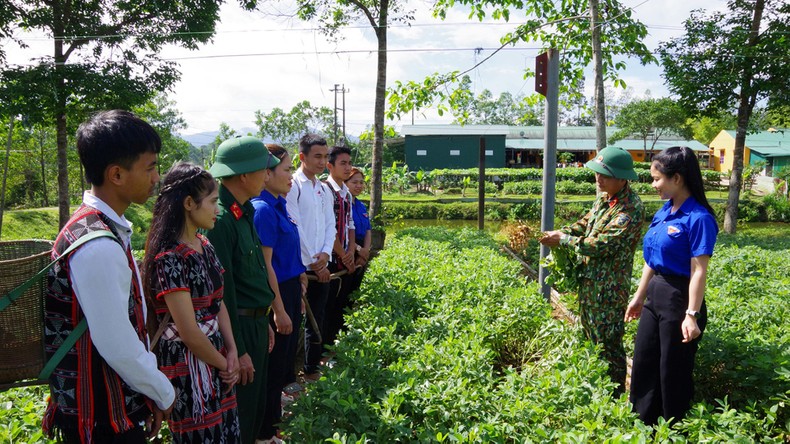 Thúc đẩy kinh tế-xã hội vùng đồng bào dân tộc khó khăn ảnh 1