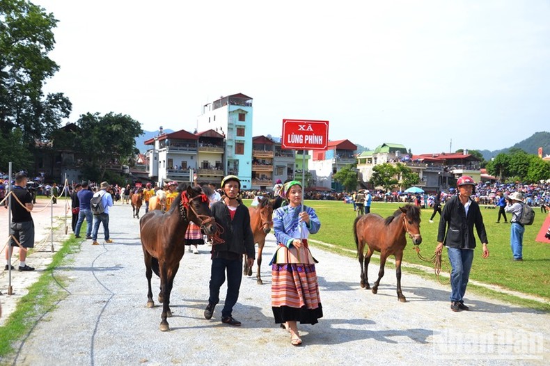 [Ảnh] Hơn 15.000 người đến xem đua ngựa thồ trên cao nguyên trắng Bắc Hà ảnh 1