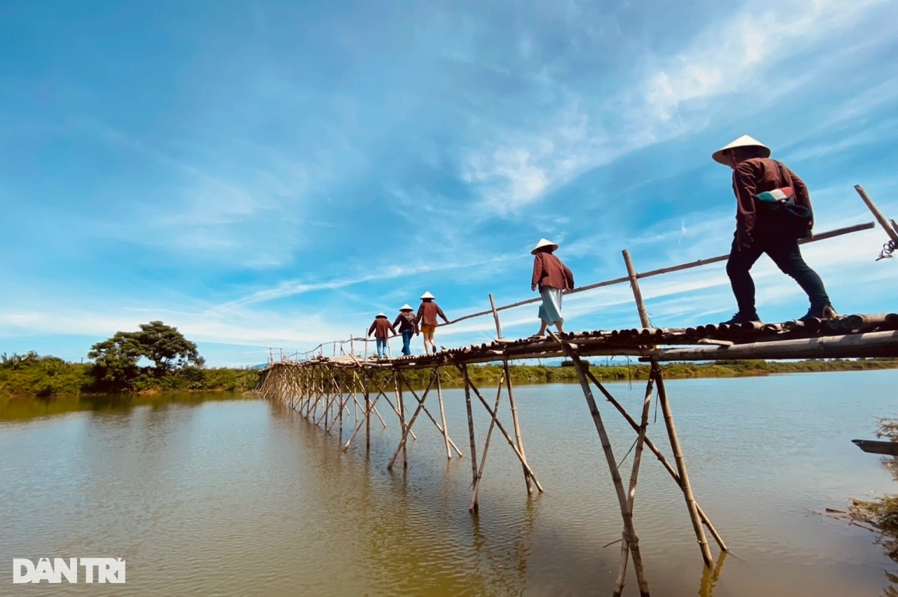 Cầu tre duy nhất còn lại ở Quảng Nam, khách nước ngoài thích thú chụp ảnh - 12