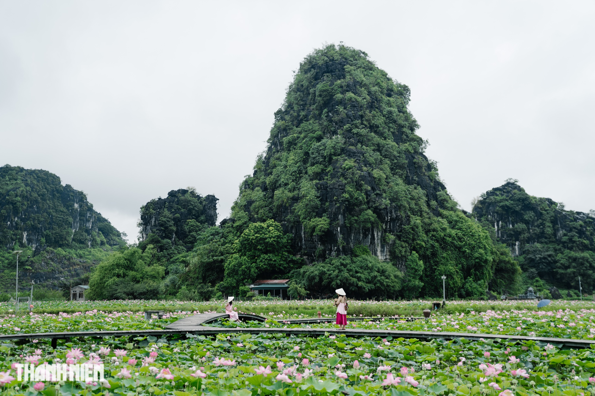 Mùa sen đẹp nhất cố đô - Ảnh 7.