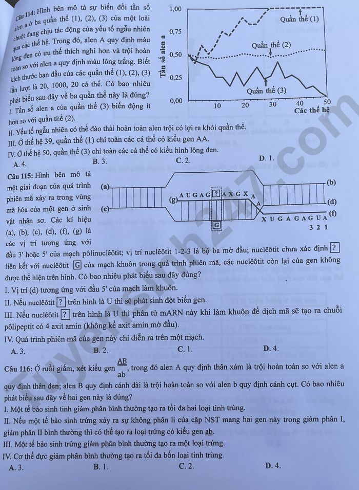 de thi tot nghiep thpt 2023 mon sinh hoc ma de 224 hinh 4