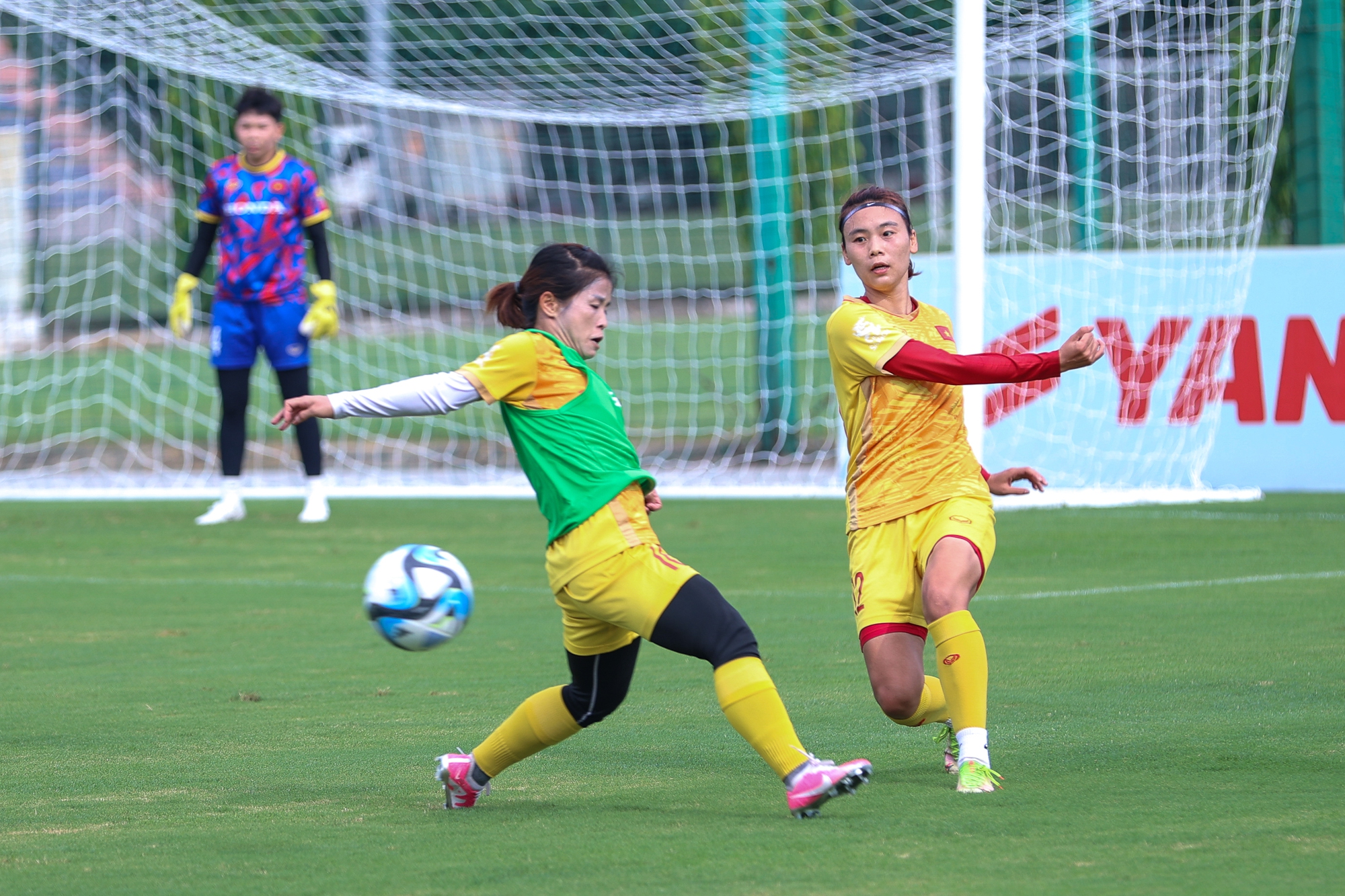 Thủ tướng: Tạo điều kiện tốt nhất cho các 'cô gái kim cương' tranh tài tại World Cup - Ảnh 6.