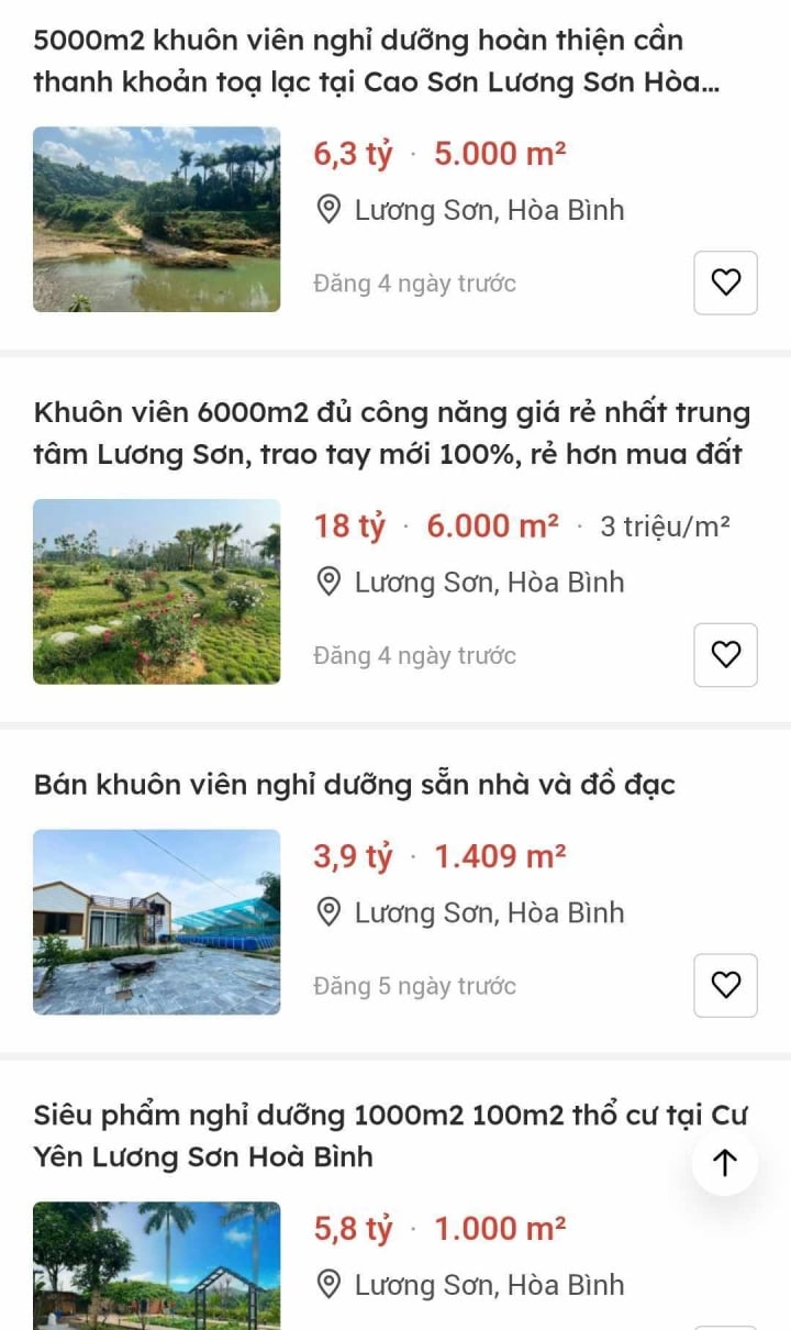 Rao bán homestay trên các kênh bất động sản. (Ảnh chụp màn hình)