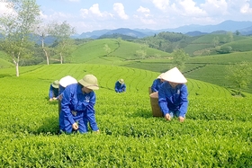 Xây dựng chuỗi thực phẩm an toàn