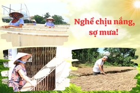 Nghề chịu nắng, sợ mưa !