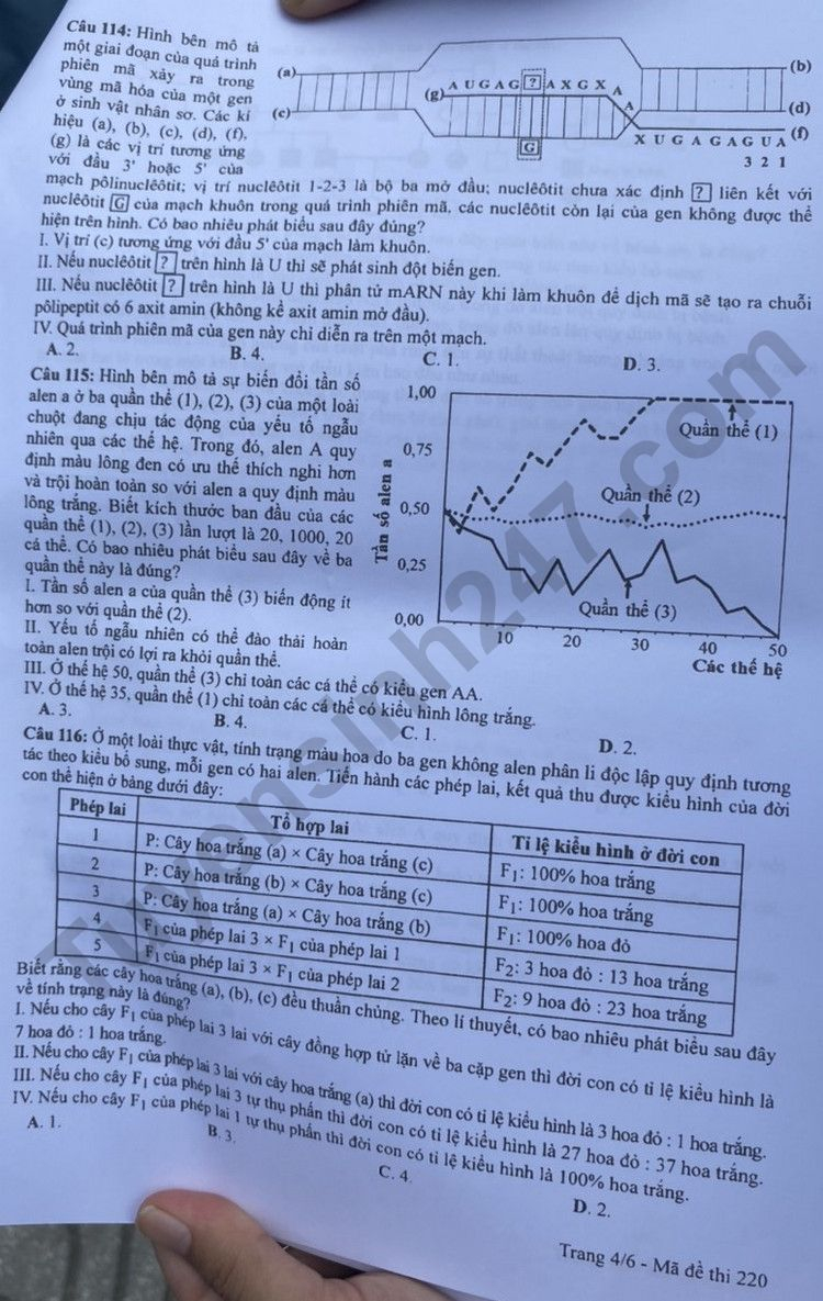 de thi tot nghiep thpt 2023 mon sinh hoc ma de 220 hinh 4