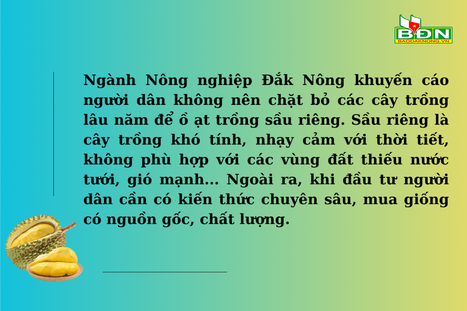 sau-rieng-dang-mang-lai-hieu-qua-kinh-te-cao-cho-nguoi-dan-so-voi-cac-loai-cay-trong-khac-tai-dia-phuong.-9-(1).png