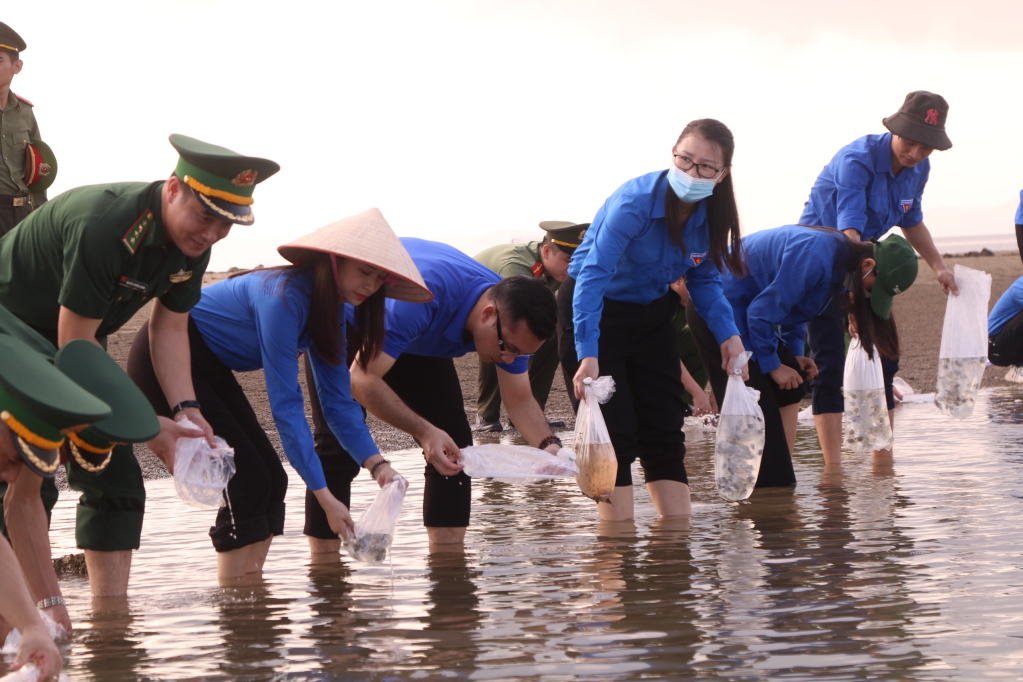 Cán bộ, ĐVTN và cán bộ, chiến sỹ tham gia thả con giống tái tạo nguồn lợi thủy sản...trình Hãy làm sạch biển cấp tỉnh hưởng ứng Ngày Môi trường thế giới 5/6. 