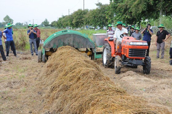 ĐBSCL: Tìm giải pháp đồng bộ trong quản lý và sử dụng rơm rạ  ảnh 2