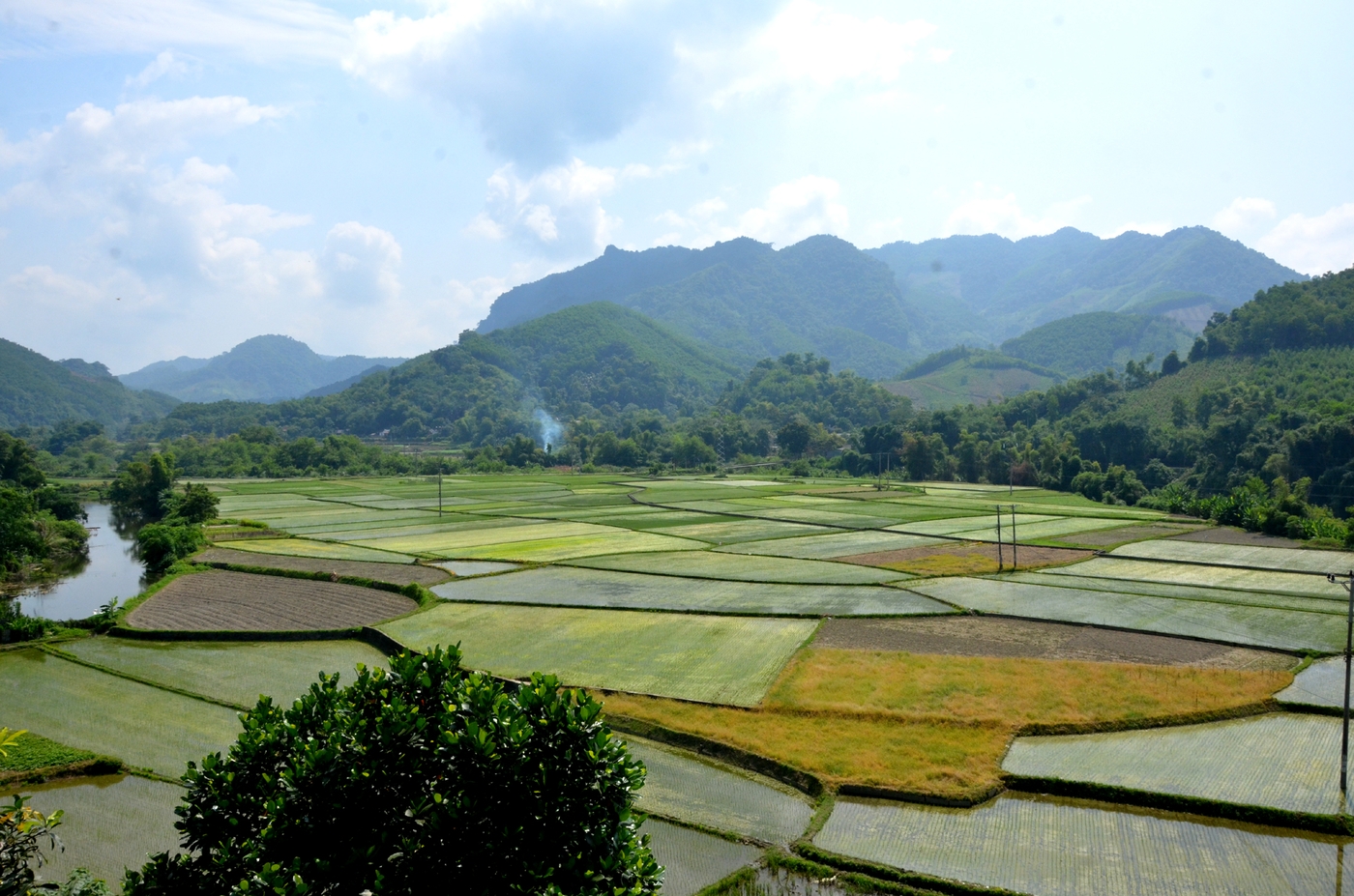 Tập trung sản xuất vụ mùa đúng khung thời vụ ảnh 2