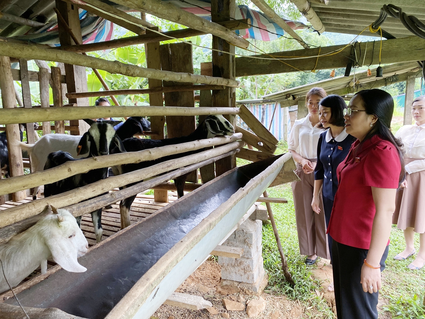 Đoàn ĐBQH tỉnh Bắc Kạn khảo sát việc thực hiện Chương trình MTQG tại Pác Nặm  ảnh 3