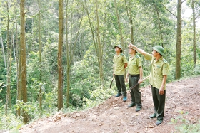 Yên Lập tập trung nguồn lực thực hiện thắng lợi hai nhiệm vụ trọng điểm về phát triển kinh tế