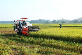 Lương Lỗ phát huy vai trò lãnh đạo trong công tác giảm nghèo