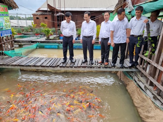 Bí thư Thành ủy TP Cần Thơ: Hợp tác xã cần chú ý chất lượng sản phẩm gắn với xây dựng thương hiệu  ảnh 2