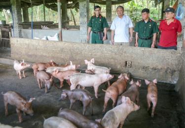 Hội CCB phường Yên Thịnh thăm mô hình chăn nuôi lợn của gia đình CCB Nguyễn Hoàng Tám