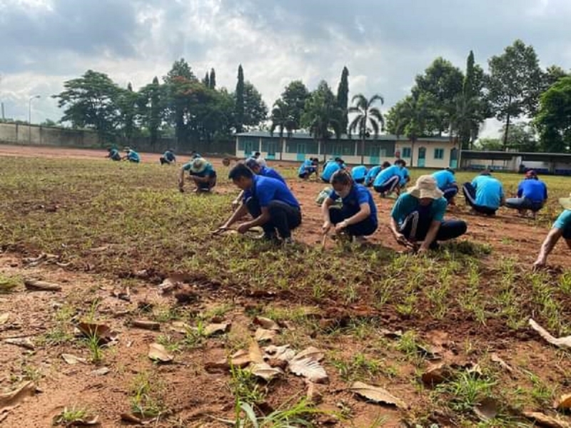 Học viên cùng sinh viên tình nguyện trồng cỏ phủ xanh sân cơ sở.