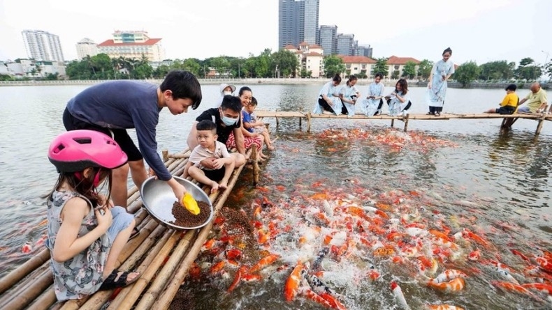 Chiêm ngưỡng hồ cá Koi rộng 3,5ha giữa lòng Hà Nội  ảnh 2