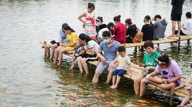 Chiêm ngưỡng hồ cá Koi rộng 3,5ha giữa lòng Hà Nội  ảnh 3