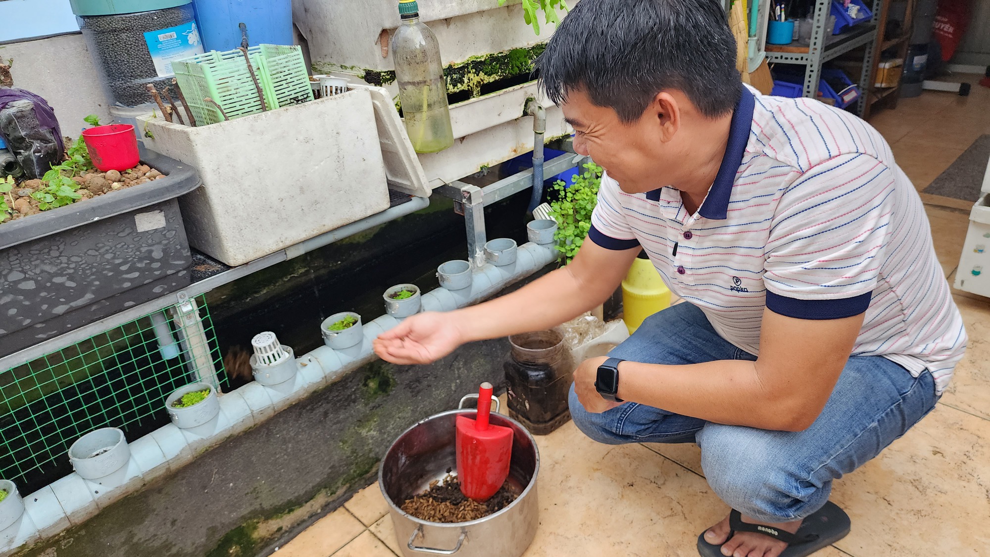 Nuôi ruồi lính đen trong thành phố: Từ bị báo phường đến thành nơi tiêu thụ rác cho hàng xóm - Ảnh 3.