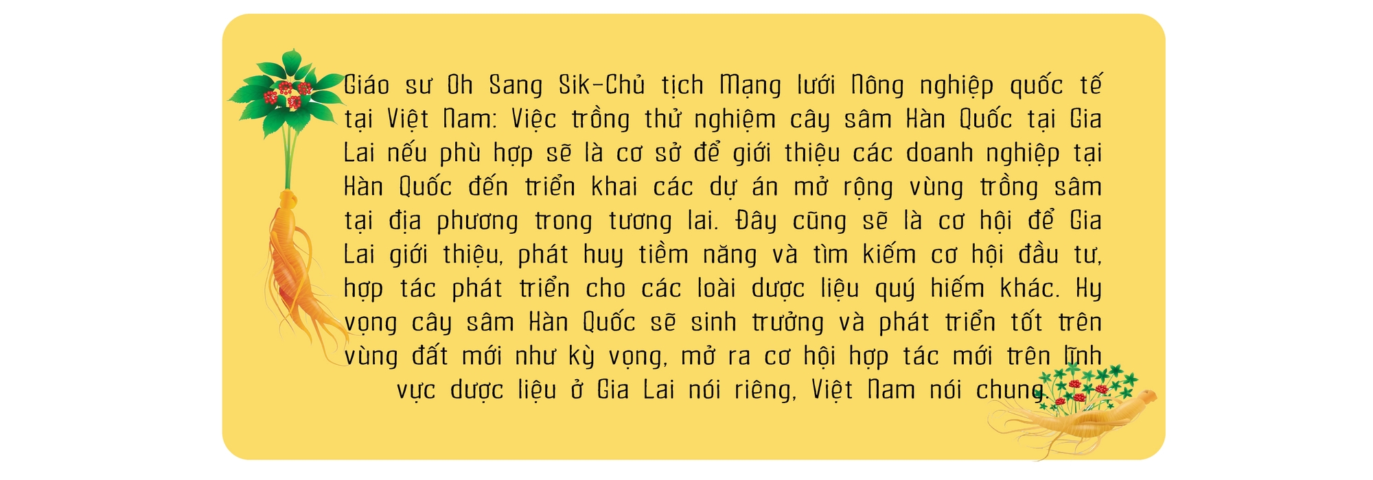 Cơ hội phát triển cây dược liệu ảnh 8