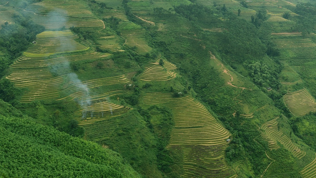 Ruộng bậc thang Hoàng Su Phì: 'Tác phẩm' nghệ thuật làm say đắm lòng người