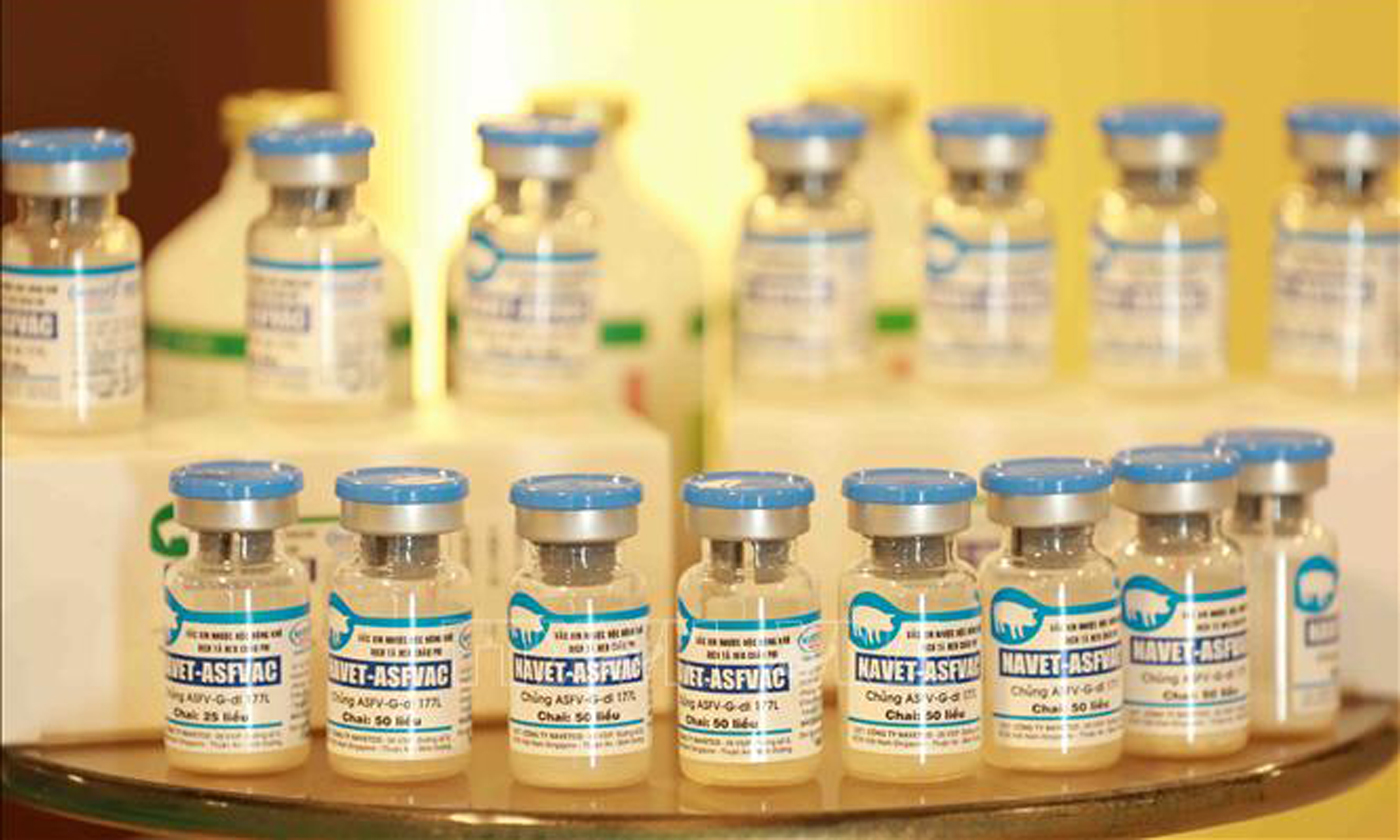 Vaccine phòng dịch tả lợn châu Phi do Công ty Navetco sản xuất. Ảnh: Vũ Sinh/TTXVN