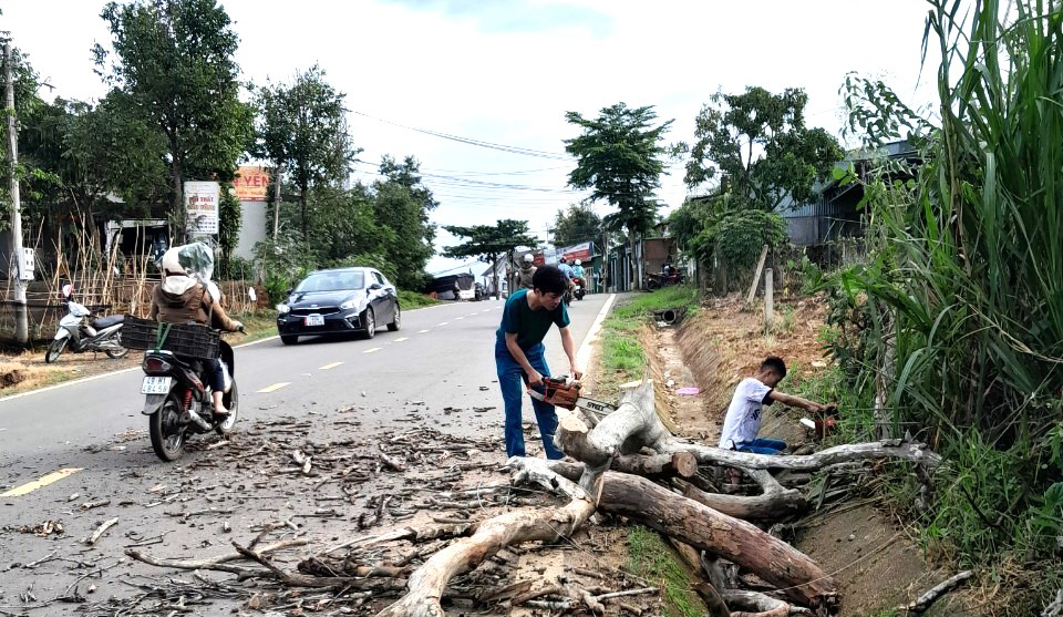 Sau hơn 2 giờ hồ, các lực lượng đã hoàn tất công tác cưa hạ, dọn dẹp cây khô mục đảm bảo an toàn 