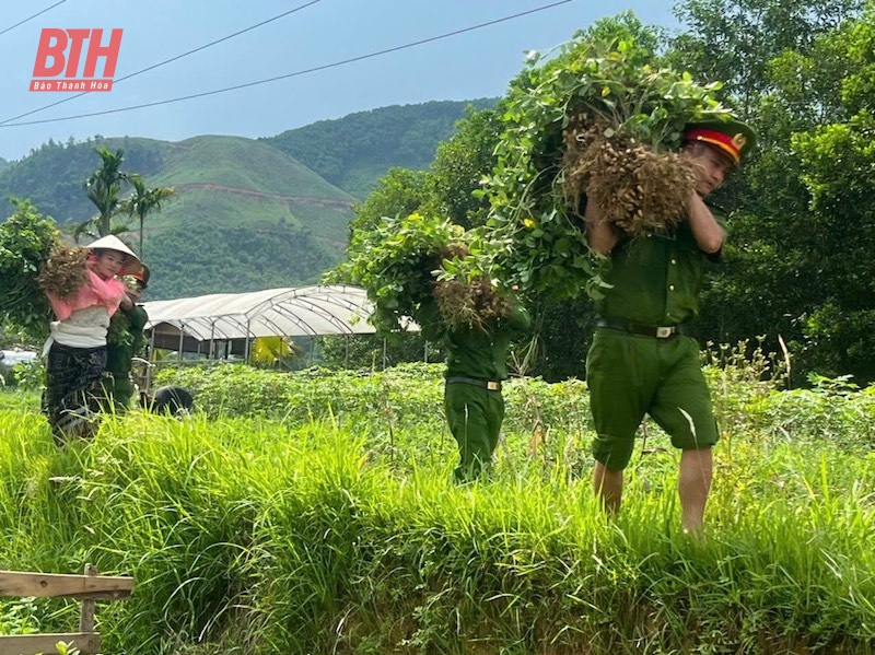 Bình yên Bản Mạ