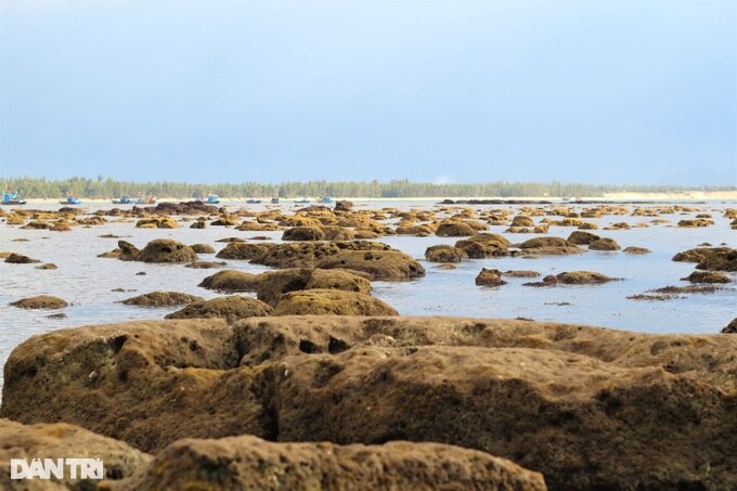 Còng lưng, khom gối cạo tiền trên ghềnh đá - 1