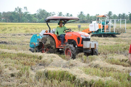 Máy cuộn rơm 