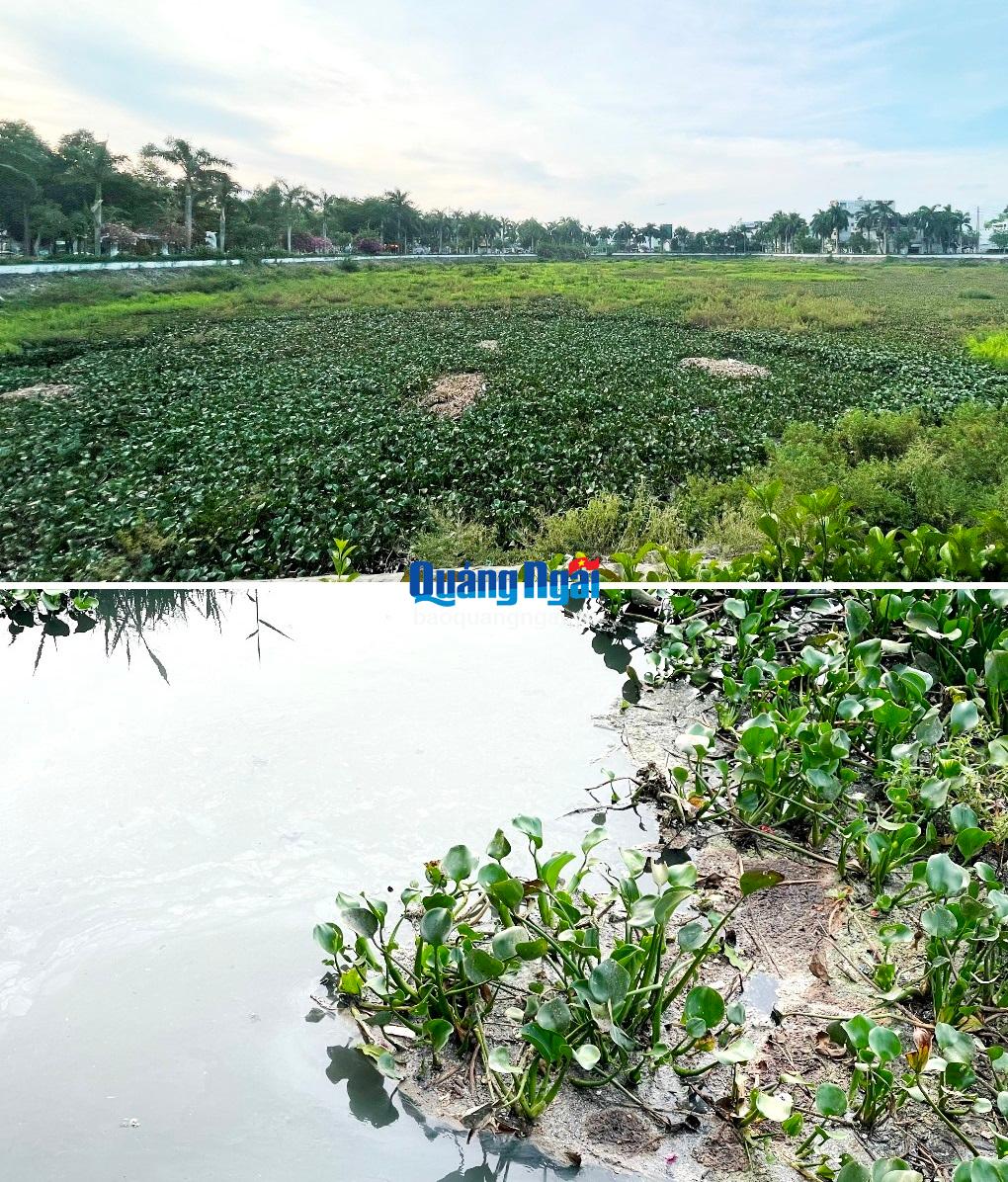 Hồ điều hòa Nghĩa Chánh (TP.Quảng Ngãi).