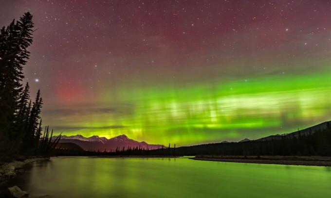 Bắc cực quang trên sông Athabasca ở Công viên quốc gia Jasper, Alberta, Canada. Ảnh: Getty