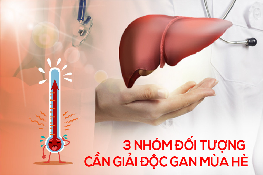 Mùa nắng nóng, 3 nhóm đối tượng này cần nhanh chóng giải độc gan