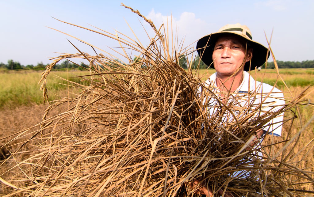 Năm 2023 sẽ là năm nóng nhất, 2024 tiếp tục tăng - Ảnh 1.