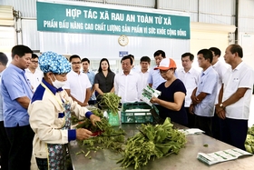 Lâm Thao từng bước hoàn thành các chỉ tiêu Nghị quyết Đại hội Đảng bộ huyện lần thứ XXX