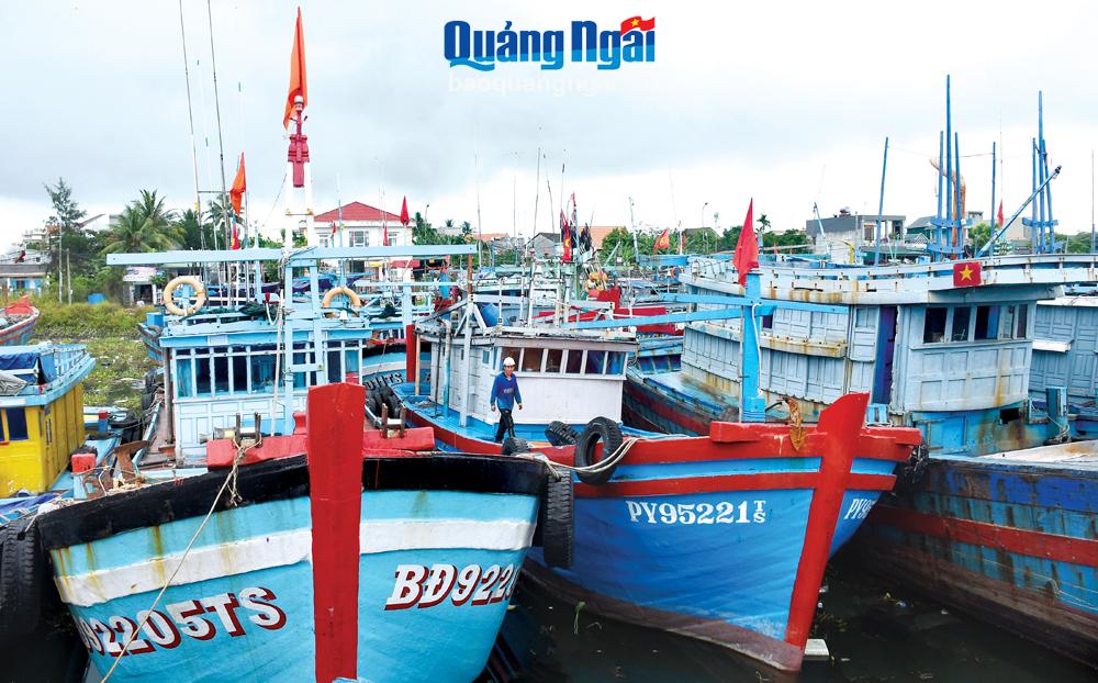 Thời gian gần đây, cảng cá kết hợp neo đậu tàu thuyền Tịnh Hòa (TP.Quảng Ngãi) thu hút nhiều tàu thuyền của ngư dân các tỉnh về neo trú, bán hải sản.              Ảnh: Ý THU