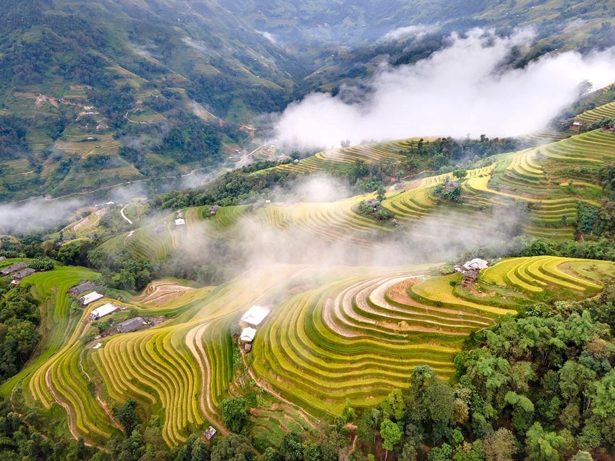 Ruộng bậc thang Hoàng Su Phì: 'Tác phẩm' nghệ thuật làm say đắm lòng người