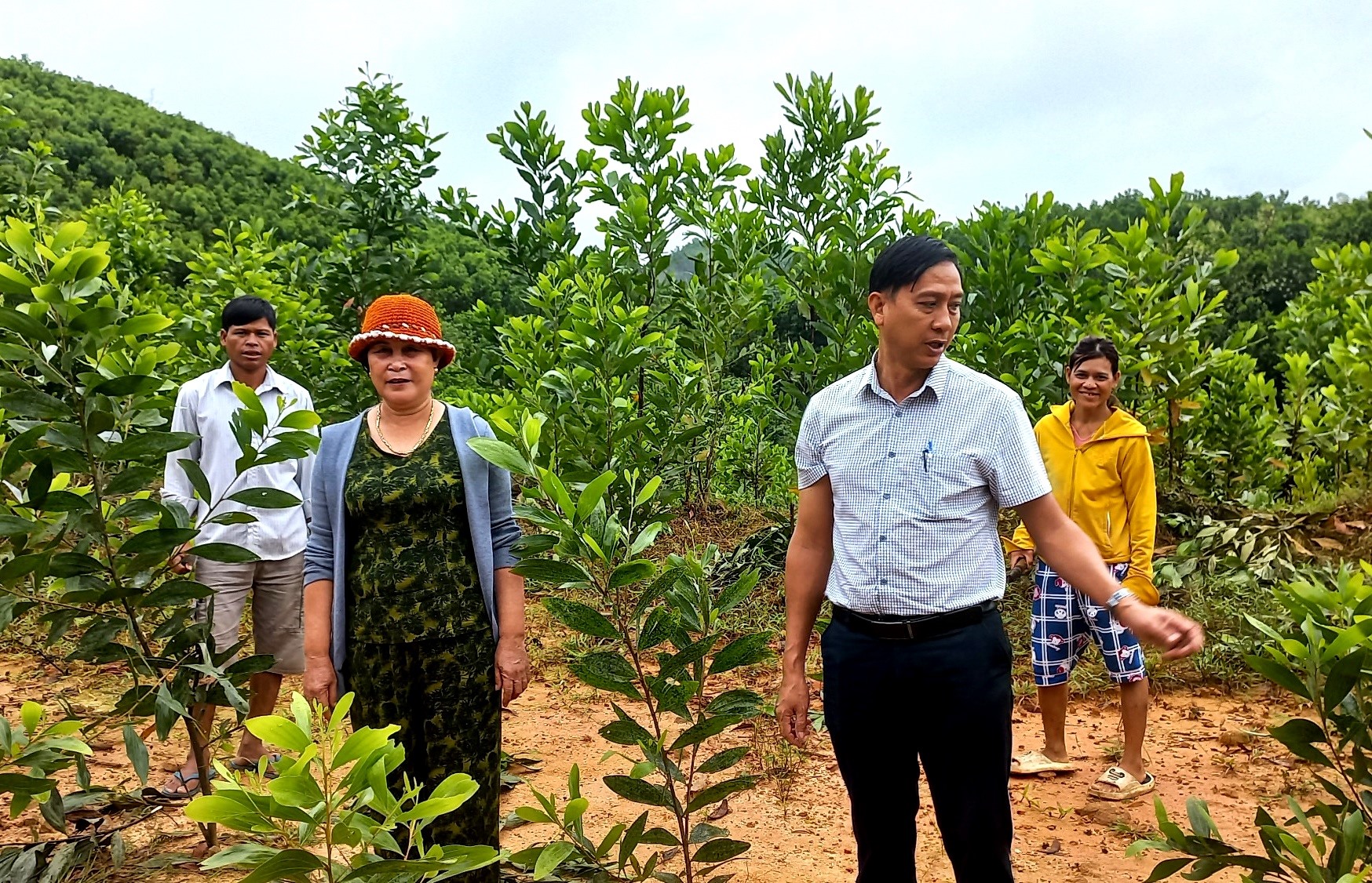 Người dân Bắc Trà My phát triển kinh tế rừng nhờ vào vốn chính sách. Ảnh: Q.VIỆT